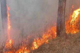 WhatsApp Image 2024 04 27 at 1 56 08 PM 930x527 1 -