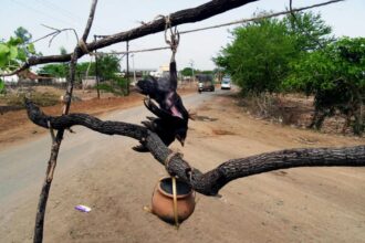 14ADSHSHI W001 HY14 SUPERSTITION.j -