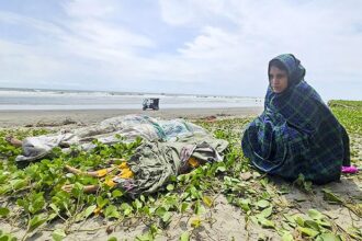 fd211018 6caf 4f4e 9472 318335d3d529 -