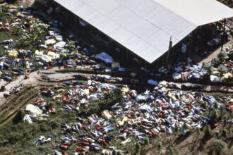 WhatsApp Image 2024 11 19 at 12.43.04 PM -