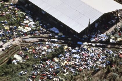 WhatsApp Image 2024 11 19 at 12.43.04 PM -