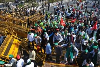 WhatsApp Image 2024 12 03 at 6.01.48 PM -