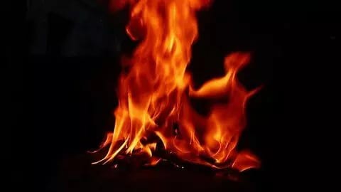 WhatsApp Image 2024 12 09 at 6.49.59 PM -