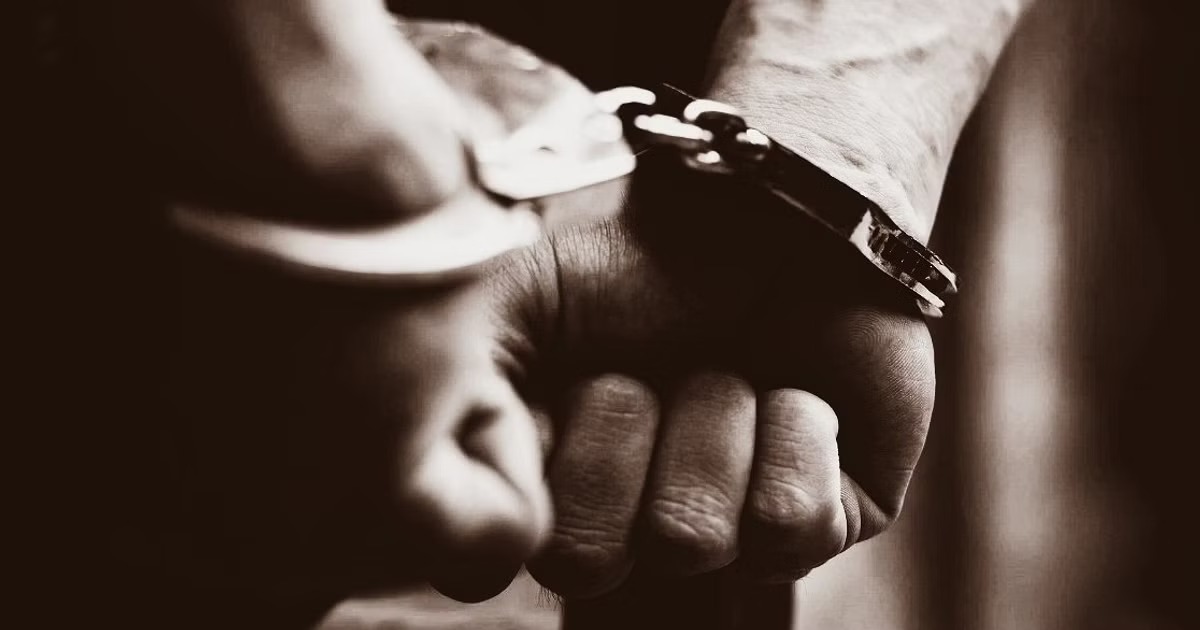 WhatsApp Image 2024 12 26 at 6.13.35 PM -